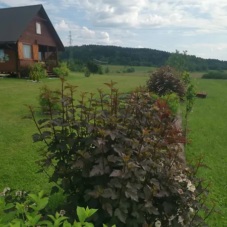 Apartamento Polna Przystan Uherce Mineralne Exterior foto